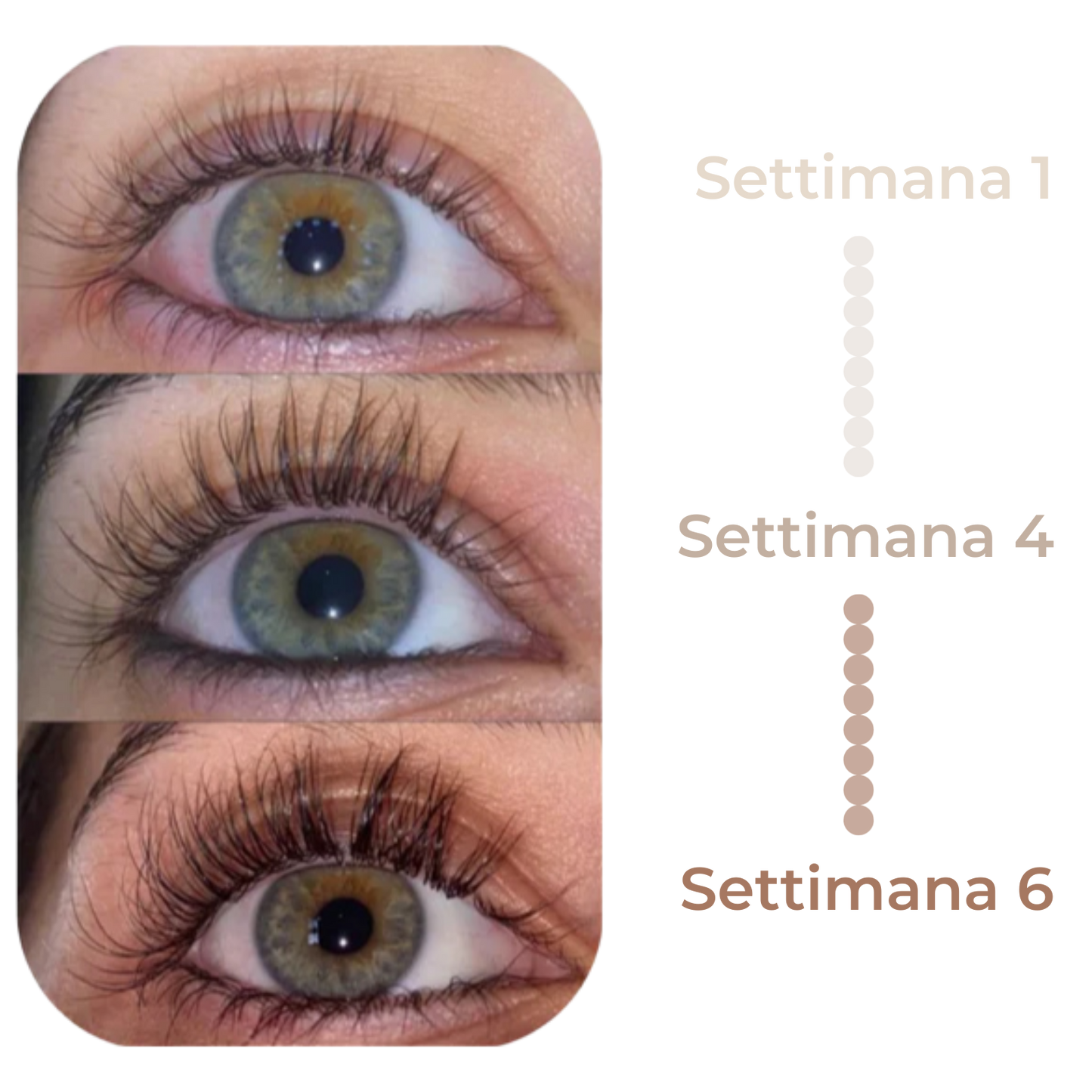 NOVEA MILANO LASH SERUM