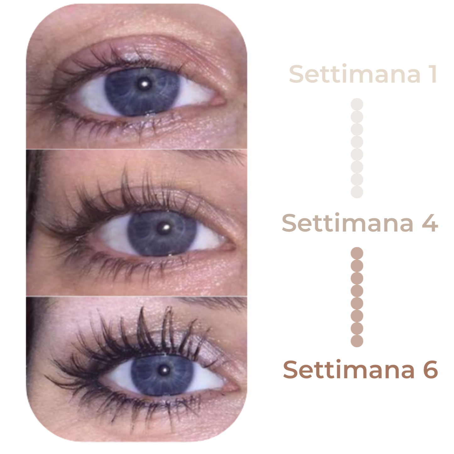 NOVEA MILANO LASH SERUM